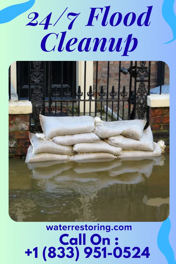 24/7 Flood Cleanup in Flora, MS