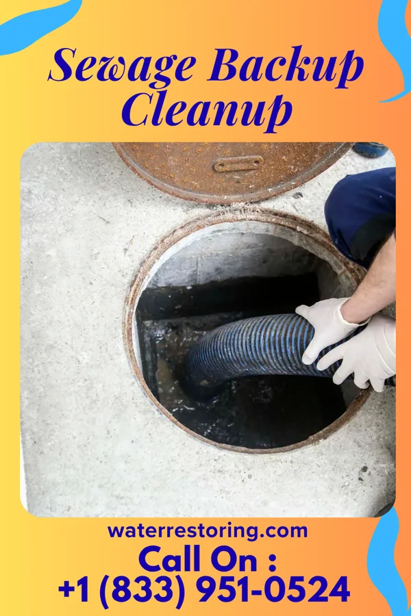 Sewage Backup Cleanup in Flora, MS