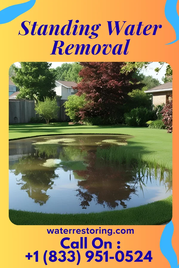 Standing Water Removal in Flora, MS